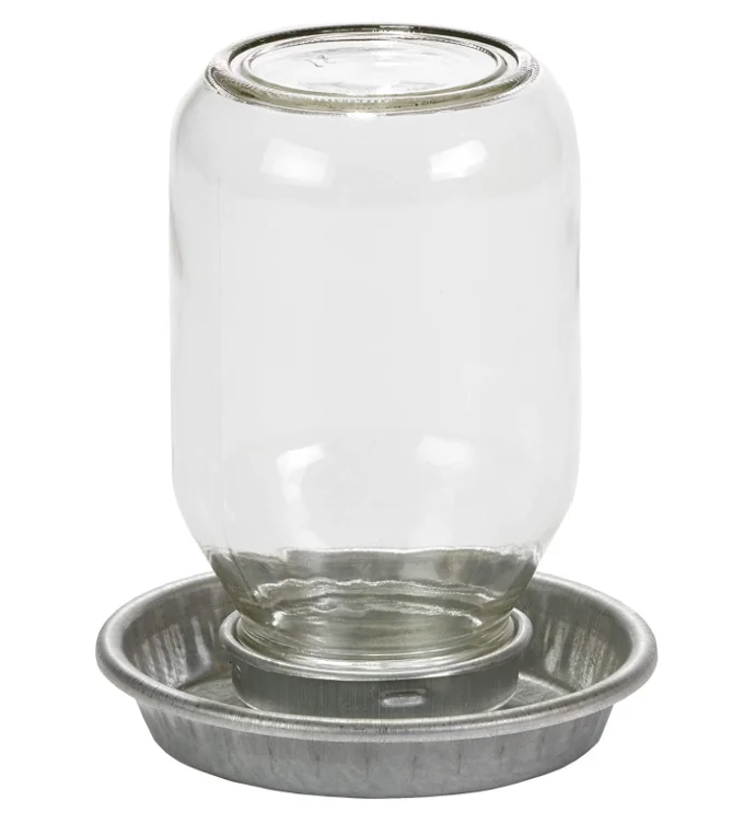 - Pet educational toy recommendationsMason Jar Chicken Waterer