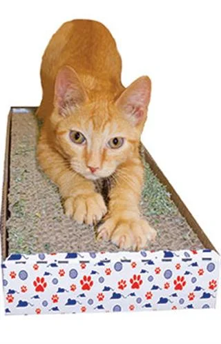 - Summer pet ice matImperial Cat Cat Things Scratch 'n Pad