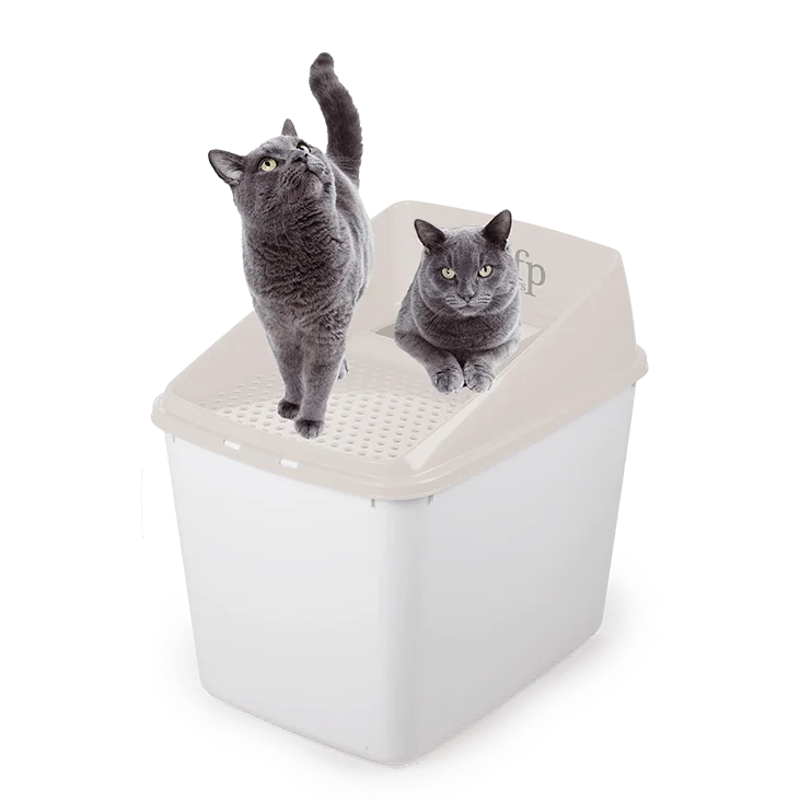 with the functions of decontamination, deodorization, and nourishment.with the functions of decontamination, deodorization, and nourishment.AFP  Go Fresh Sifting Litter Box