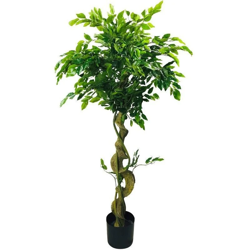 - Custom pet birthday cakeTwisted Trunk Ficus Tree Artificial Plant Green - 137cm