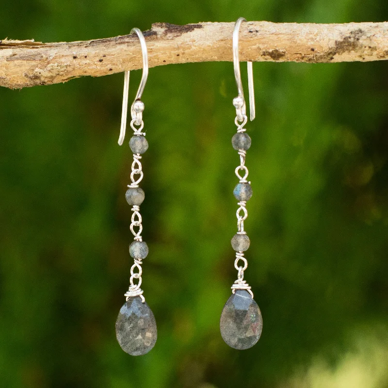 - ​​Christmas pet Christmas clothingLady Handmade Labradorite and Sterling Silver Dangle Earrings